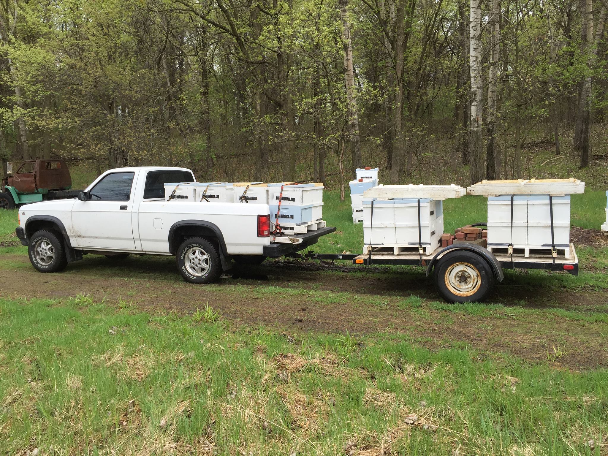 How to transport bees in winter